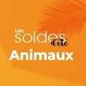 SOLDES D'ÉTÉ 2023 | CBD ANIMAUX