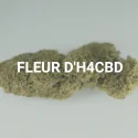 Fleur d'H4CBD
