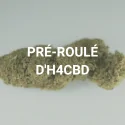PRÉ-ROULÉ DE FLEUR D'H4CBD