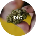 DLC