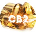 Gélules CB2 | Complexe CB2 sans CBD ni THC | Fabriqué en France | CBD'EAU