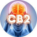 Complexe CB2 | Huile, Gélules et Gummies CB2 | CBD'EAU