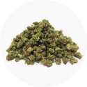 Fleur de CBD prix mini