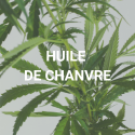 Huiles de Chanvre