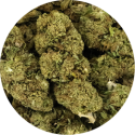 CBD Boost - Fleurs Transformées