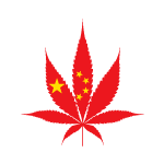 CBD chine