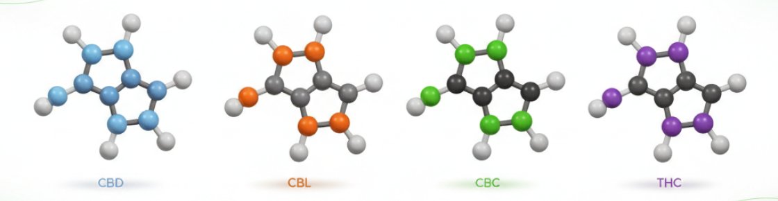 Comparaison entre les cannabinoïdes CBL CBD CBC et THC, structure et différences