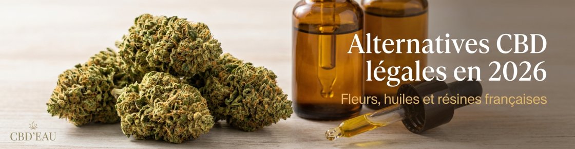 Alternatives CBD légales en France en 2026 : fleurs, huiles et résines