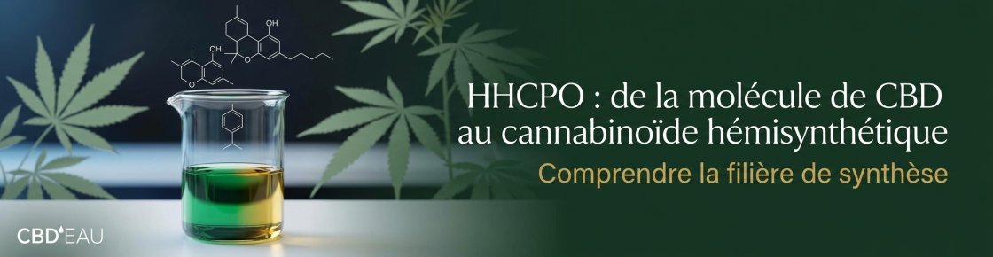 Schéma de la fabrication du HHCPO à partir du CBD, cannabinoïde hémisynthétique