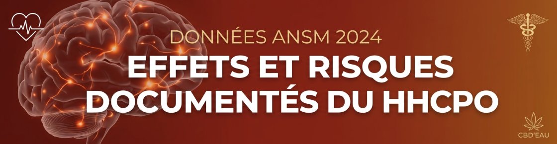 Effets et risques du HHCPO documentés par l'ANSM en 2024