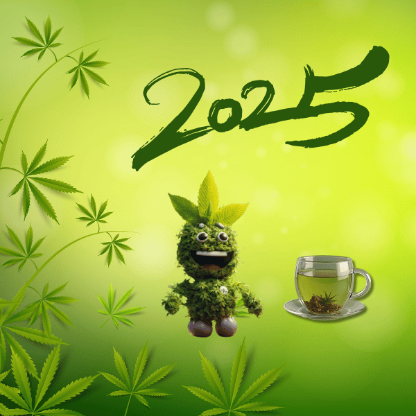 Grossiste CBD Grossiste CBD