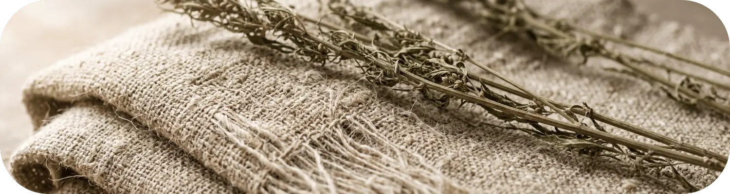 Chanvre textile