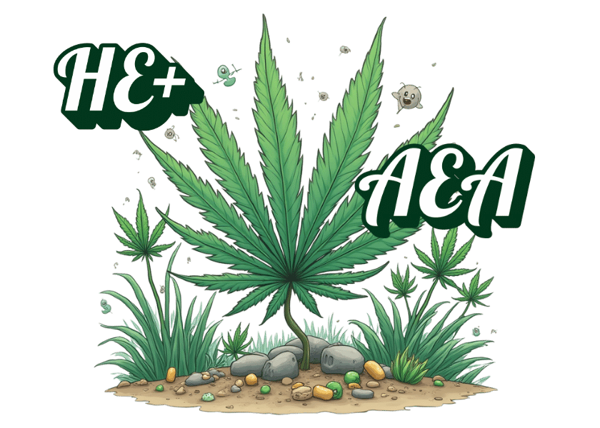 He+aea