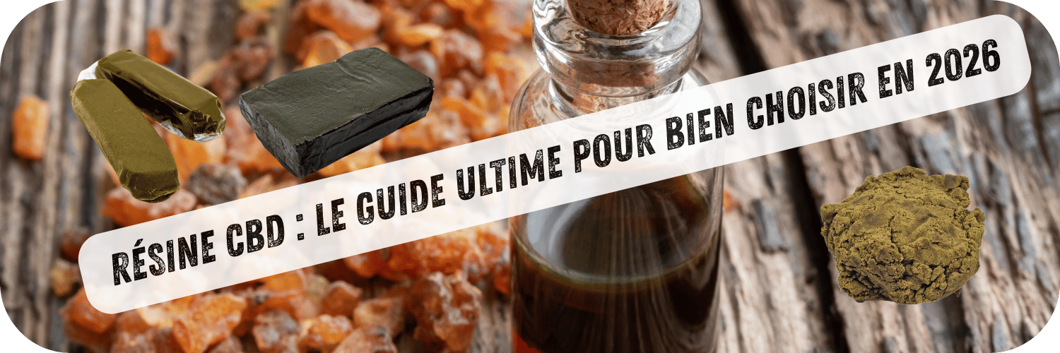 Résine CBD : Le Guide Ultime pour Bien Choisir en 2026