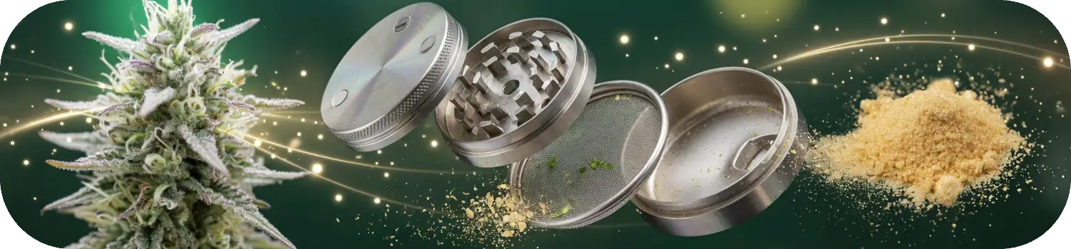 Pièces d'un grinder démonté : couvercle, dents, tamis et récupérateur