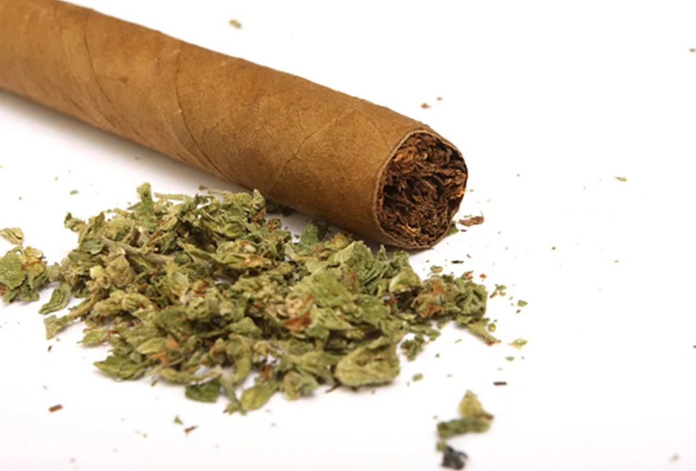 La méthode pour rouler un blunt correctement
