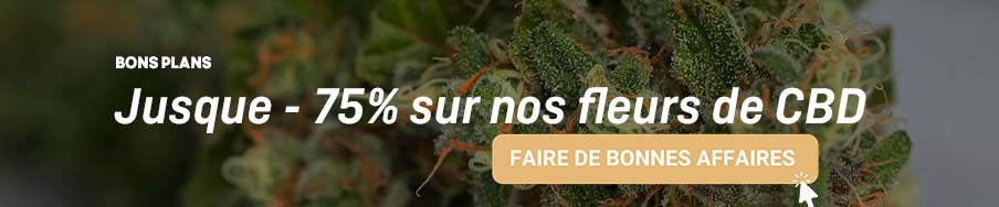 nos fleurs de cbd