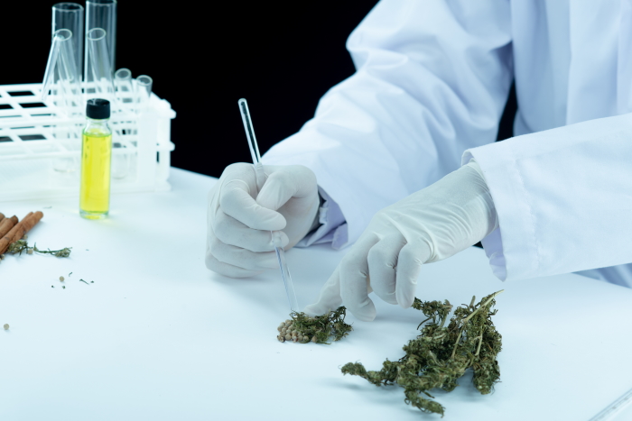 thcpo cannabinoide synthétique thcpo cannabinoide synthétique