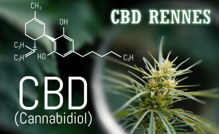 CBD cannabidiol Rennes