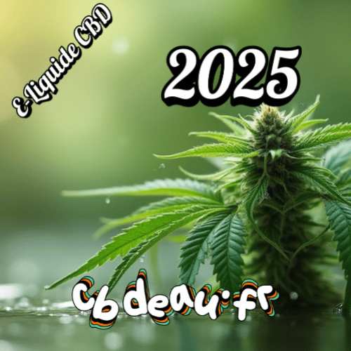 Eliquide CBD sans THC : la légalité et sécurité en 2025