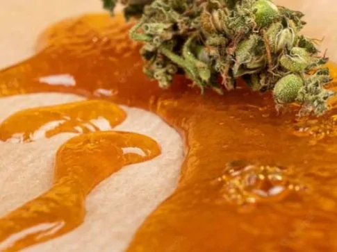 Différences entre wax, solide et jelly CBD