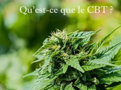 CBT : découvrez le Cannabitriol ! 