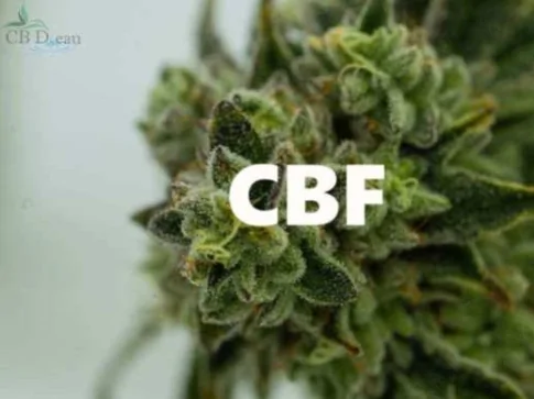  Le CBF c’est quoi ?
