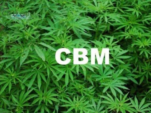  Le CBM : qu'est-ce que c'est ? 