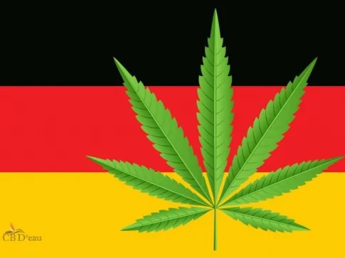 CBD'eau, le véritable numéro 1 en Europe, s'implante en Allemagne !