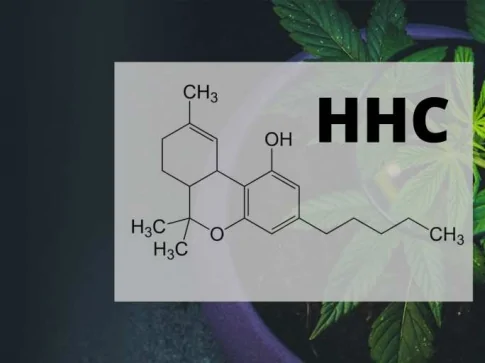 Le HHC un nouvel acteur sur le marché du CBD ?