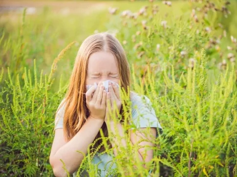 Rhume des foins, pollen: le CBD peut il aider en cas d'allergie ?