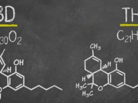 Quelle différence entre CBD et THC ?