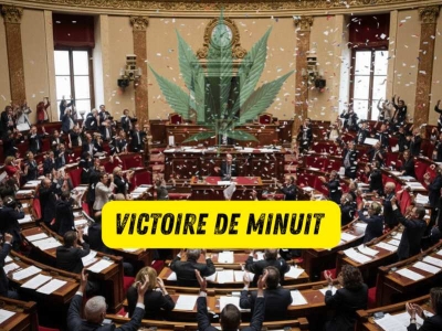 Victoire de Minuit : Comment la France a Sauvé son Secteur CBD ?