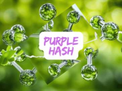 CBCA (Acide Cannabichroménique)