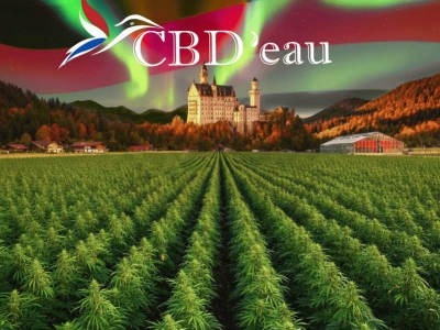 Ouvrir un magasin CBD en 2026 : le guide pour devenir partenaire CBD'eau