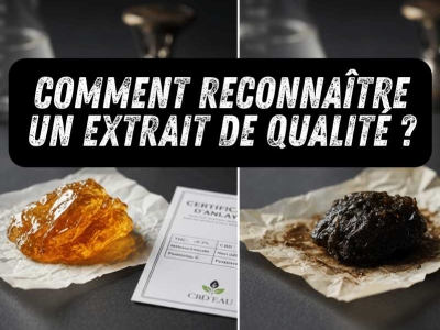 Les Extraits de Cannabis : Guide Complet sur les Concentrés et Méthodes