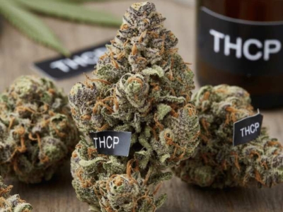 THCP : Le Guide Complet 2026 - Effets, Dangers et Légalité en France