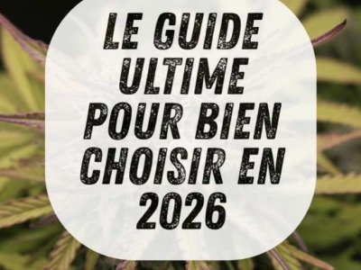 Résine CBD : Le Guide Ultime pour Bien Choisir en 2026