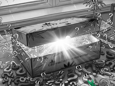 Pack CBD : Guide Complet 2026 - Choisir le Meilleur Coffret CBD