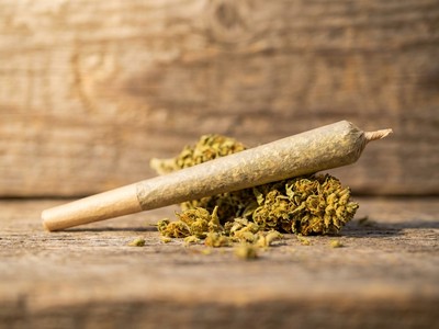 Pre-roll CBD : tout savoir sur les joints pré-roulés au cannabidiol