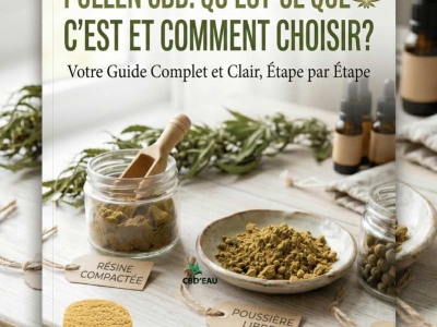 Pollen CBD : qu'est-ce que c'est et comment choisir ?