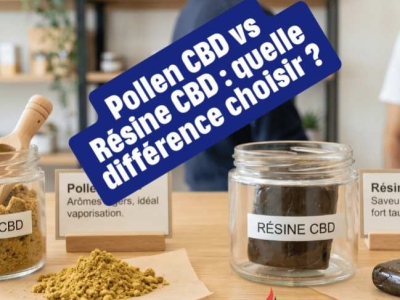Pollen CBD vs Résine CBD : quelle différence choisir ? 