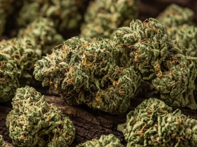 Gorilla Glue