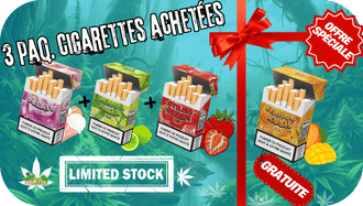 Offre Spéciale de Février- cigarette CBD