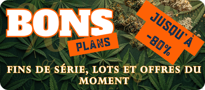 Bon Plans CBD