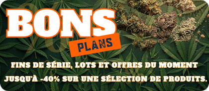 Bon Plans CBD