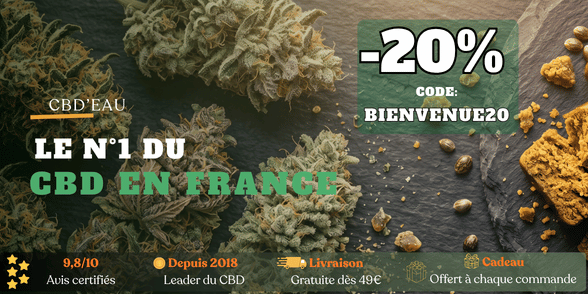 vape cbd fleur Pack Vape Pen CBD