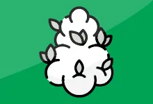 Fleurs