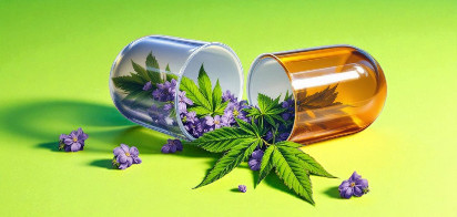 Gélule de cbd ou chanvre