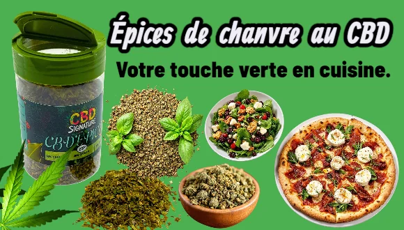 Notre coup de coeur Infusions CBD
